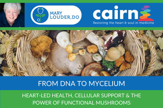 From DNA to Mycelium